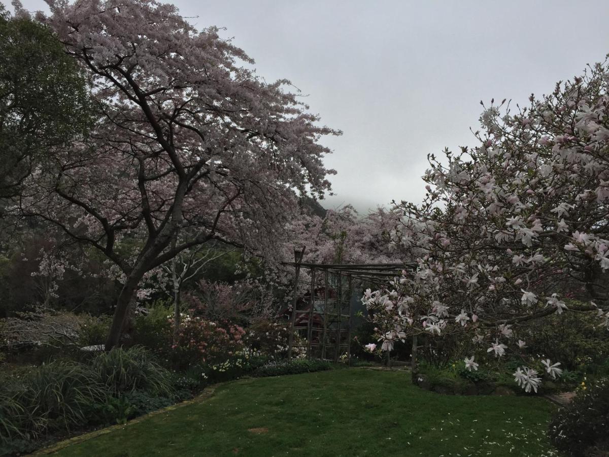 Hereweka Garden Retreat Dunedin Exterior foto